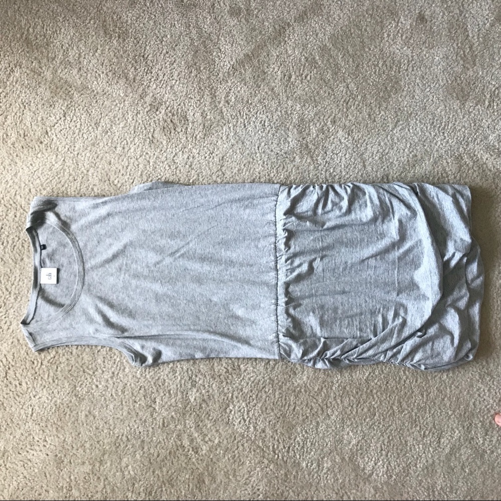 CAbi Everyday Dress Spring 2017 Small